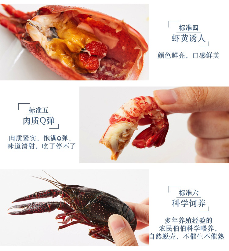 图片12.png