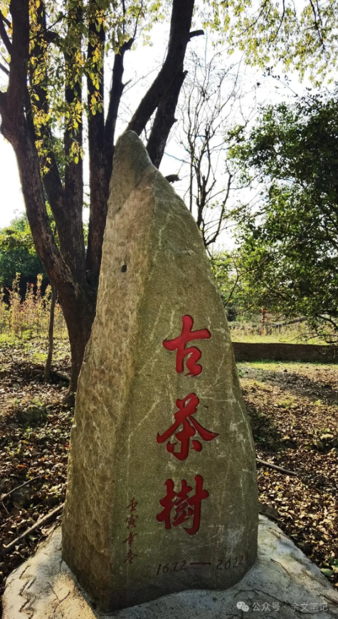 1743415303.png image.png