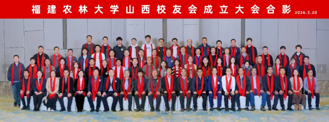 1774923365.png image.png